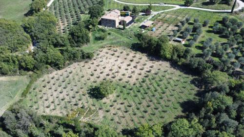 Vista dal drone